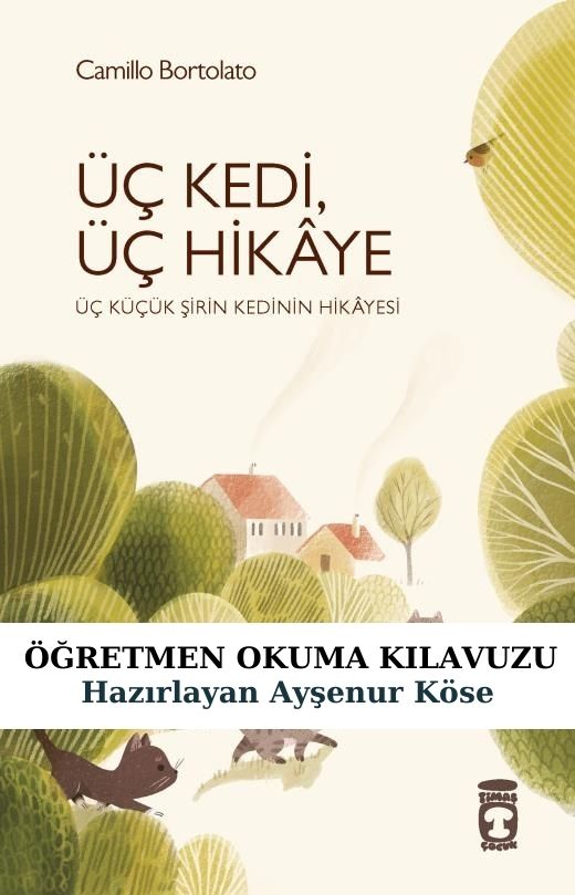 Üç Kedi Üç Hikaye Öğretmen Okuma Kılavuzu